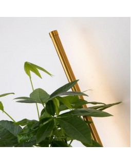 Бра Favourite 4050-2W-foto13