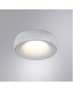 Накладной светильник ARTE Lamp A6665PL-1WH-foto2