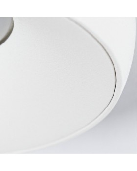 Накладной светильник ARTE Lamp A6665PL-1WH-foto3
