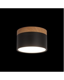 Детский светильник LOFT IT 10162 Black-foto2