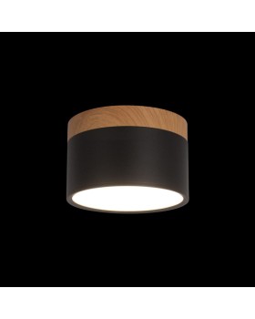 Детский светильник LOFT IT 10162 Black-foto2