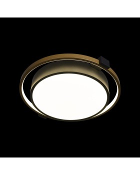 Накладной светильник LOFT IT 10169-foto2