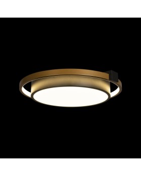 Накладной светильник LOFT IT 10169-foto4