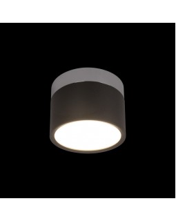 Накладной светильник LOFT IT 10179/7 Black-foto2