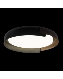 Накладной светильник LOFT IT 10198 Black-foto2