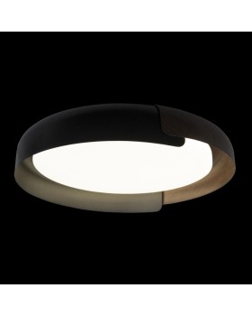 Накладной светильник LOFT IT 10198 Black-foto2