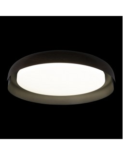 Накладной светильник LOFT IT 10198 Black-foto4