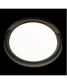 Накладной светильник LOFT IT 10198 Black-foto6