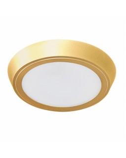 Уличный светильник Lightstar 216932-foto3