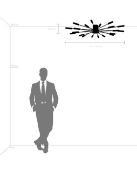 Накладная люстра Lightstar 732203-foto2