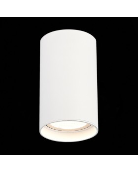 Влагозащищенный светильник ST-Luce ST157.542.20-foto3