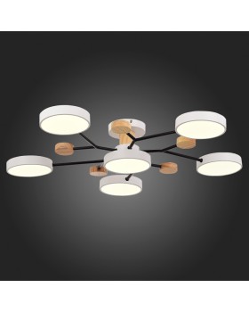 Люстра на штанге Evoluce SLE6006-502-06-foto7