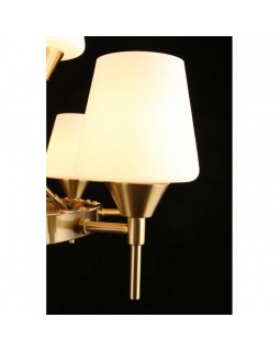 Подвесная люстра APLOYT APL.840.03.15-foto12