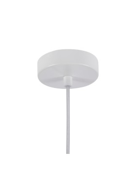 Подвесной светильник Favourite 4101-1P-foto2