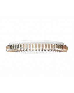 Накладной светильник Ambrella Light FF95-foto5