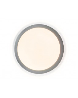 Накладной светильник Ambrella Light FF49-foto4