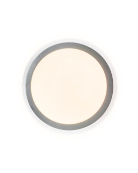 Накладной светильник Ambrella Light FF49-foto4