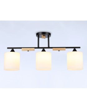 Накладной светильник Ambrella Light TR9551-foto2