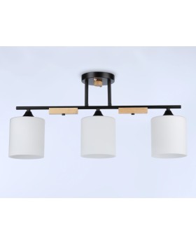 Накладной светильник Ambrella Light TR9551-foto3