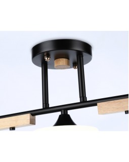 Накладной светильник Ambrella Light TR9551-foto5