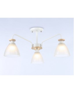 Накладной светильник Ambrella Light TR9562-foto2