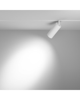 Светильник на шине Maytoni Technical TR032-4-20W3K-S-DS-W-foto4