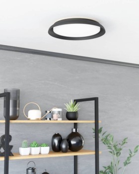 Накладной светильник EGLO 900857-foto2