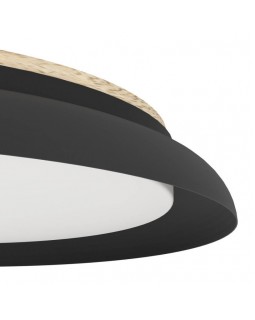 Накладной светильник EGLO 900857-foto3