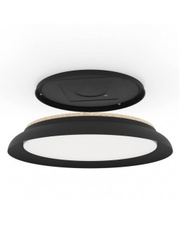 Накладной светильник EGLO 900857-foto4