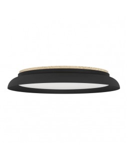 Накладной светильник EGLO 900857-foto6