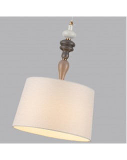 Подвесной светильник Odeon Light 5040/1-foto2