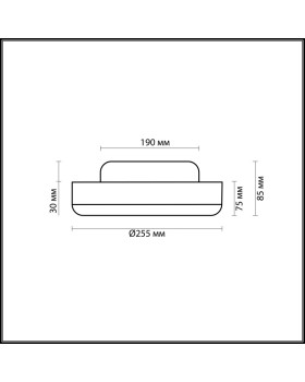 Накладной светильник Odeon Light 2177/1C-foto2