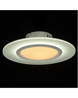 Накладной светильник DeMarkt 661016301-foto2