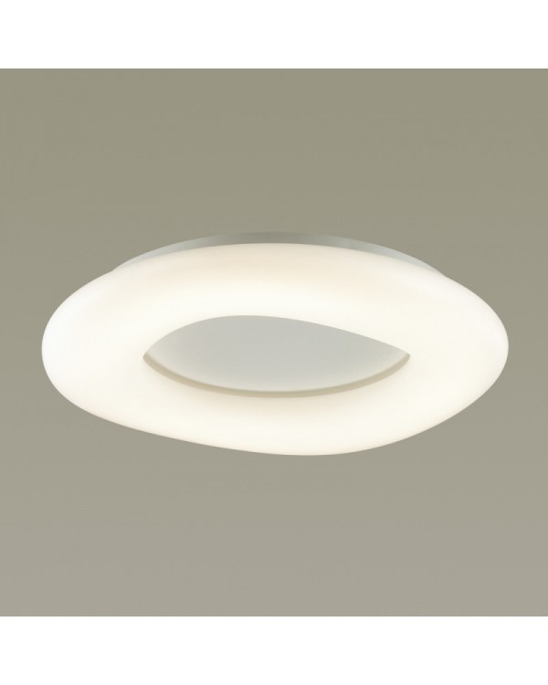 Накладной светильник Odeon Light 4064/108CL