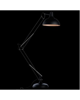 Торшер ARTE Lamp A2487PN-1BK-foto2