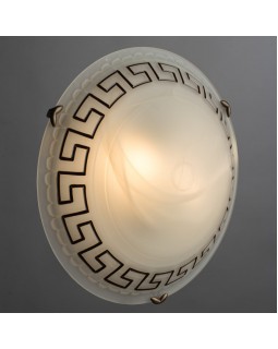 Накладной светильник ARTE Lamp A3640PL-2AB-foto2