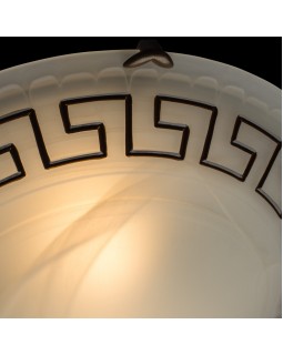 Накладной светильник ARTE Lamp A3640PL-2AB-foto3
