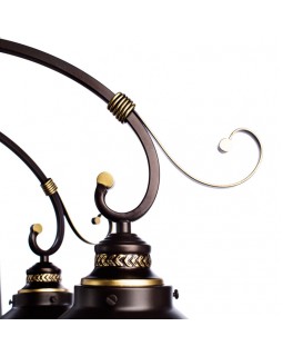 Накладная люстра ARTE Lamp A4577PL-8CK-foto4