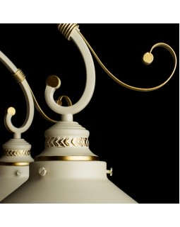 Накладная люстра ARTE Lamp A4577PL-8WG-foto3