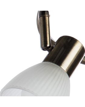 Спот ARTE Lamp A5062PL-3AB-foto3