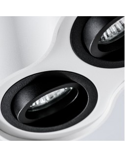 Накладной светильник ARTE Lamp A5644PL-2WH-foto3