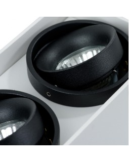 Накладной светильник ARTE Lamp A5655PL-2WH-foto3