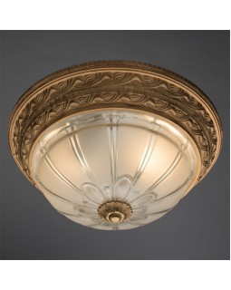 Накладной светильник ARTE Lamp A8014PL-2WA-foto2