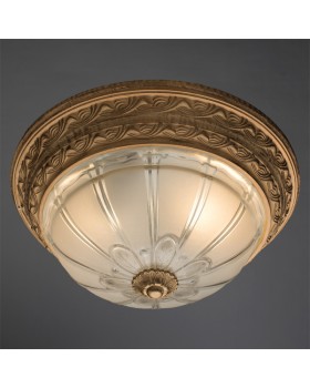 Накладной светильник ARTE Lamp A8014PL-2WA-foto2