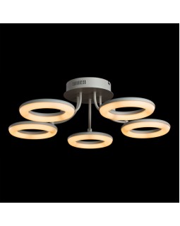 Накладной светильник ARTE Lamp A9358PL-5WH-foto2