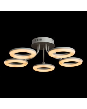 Накладной светильник ARTE Lamp A9358PL-5WH-foto2