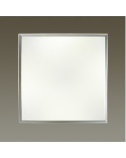 Накладной светильник Odeon Light 4624/48CL-foto2