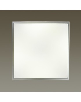 Накладной светильник Odeon Light 4624/48CL-foto2