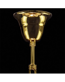 Подвесная люстра Lightstar 695062-foto4