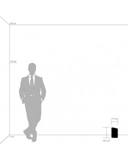 Настольная лампа Lightstar 811914-foto5